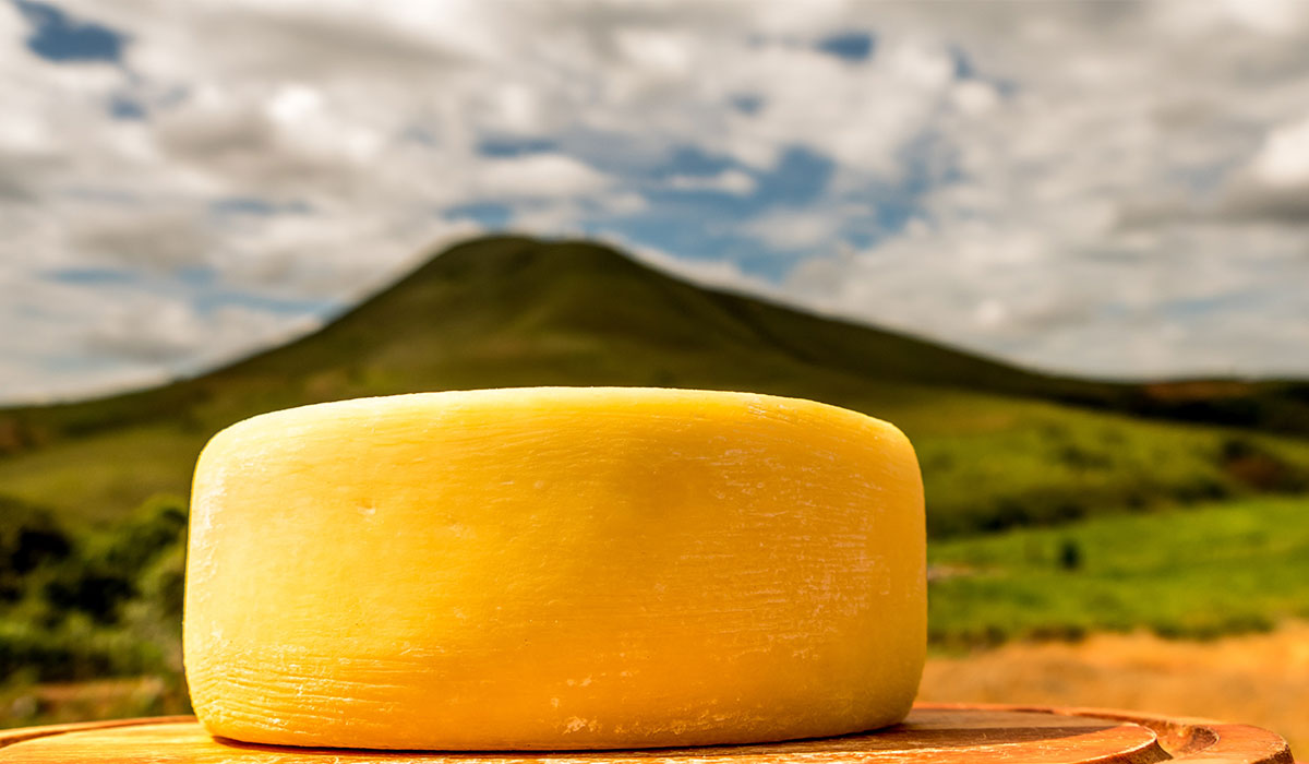 A saga do queijo canastra